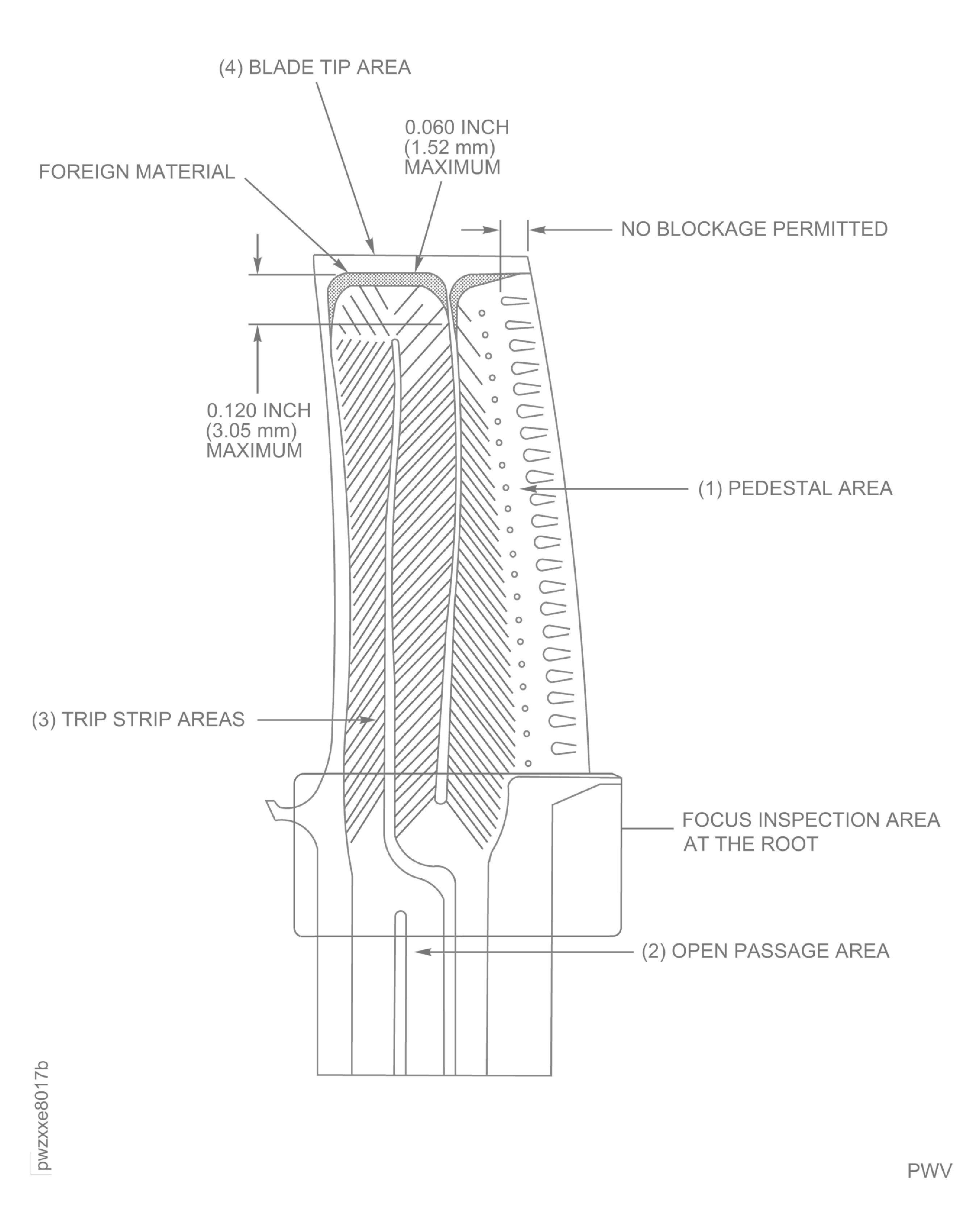 X-Ray Inspection Internal Cavity (After Cleaning)